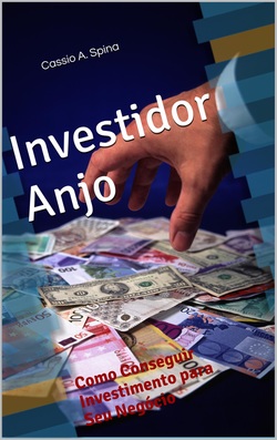 Livro Investidor-Anjo